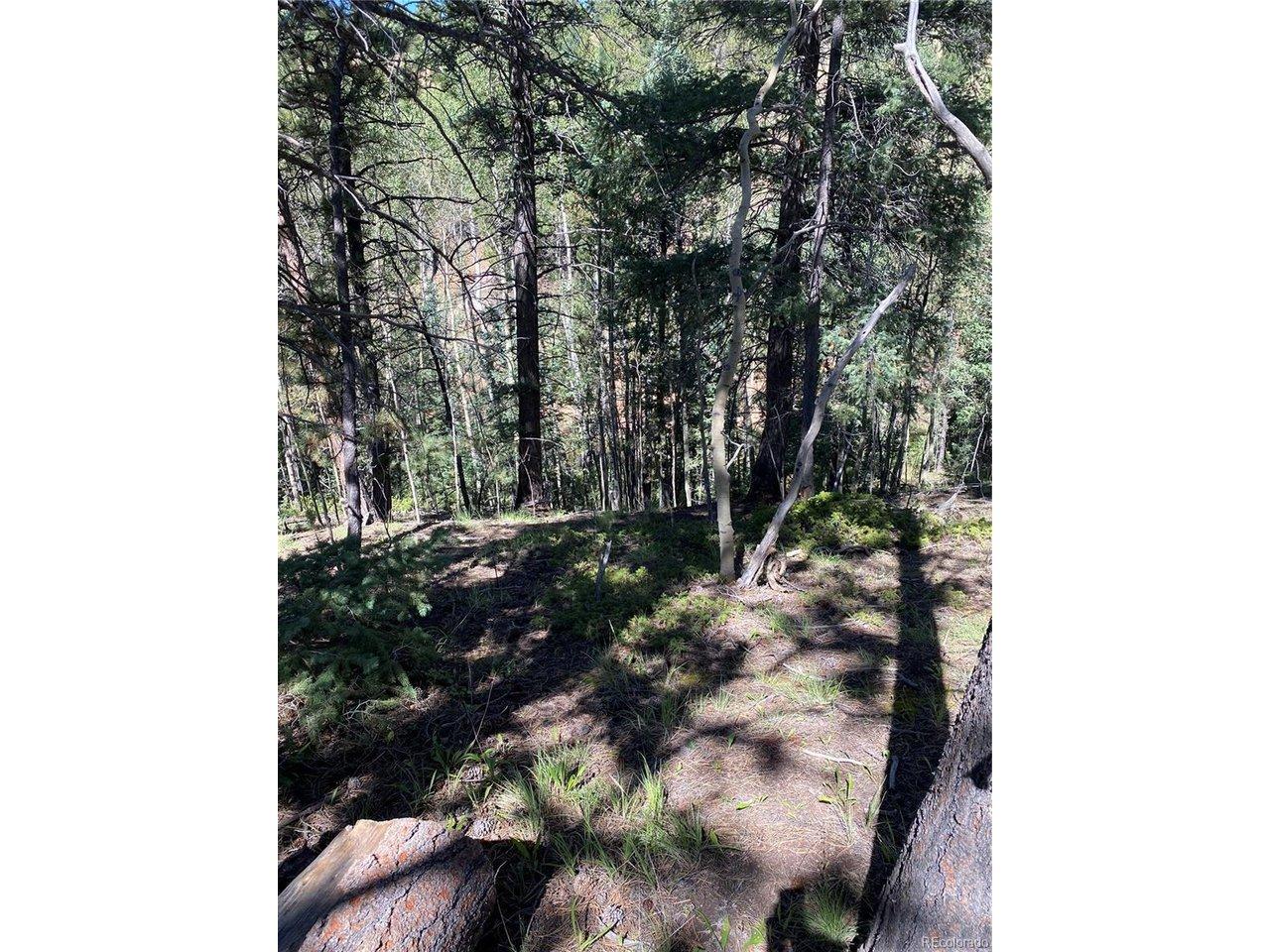 Image 4 Image 4