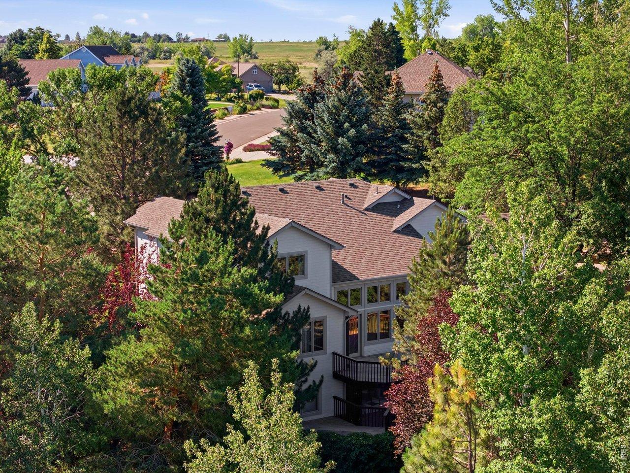 Image 3: Exquisite LUSH Landscaping-Shade and Privacy Image 3: Exquisite LUSH Landscaping-Shade and Privacy