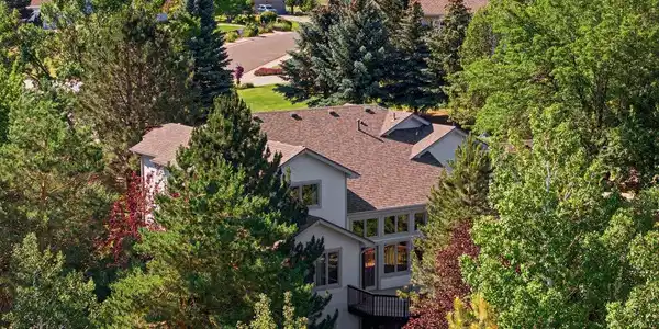 Image 3: Exquisite LUSH Landscaping-Shade and Privacy Image 3: Exquisite LUSH Landscaping-Shade and Privacy