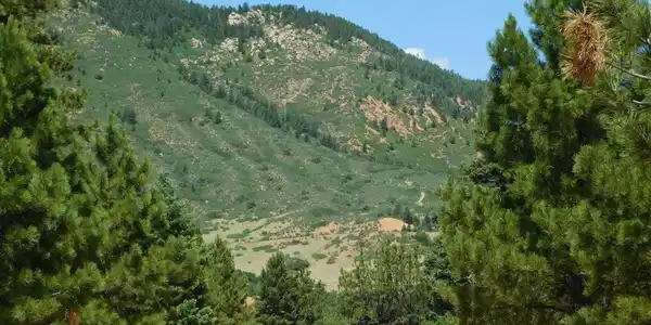 Image 2 Image 2