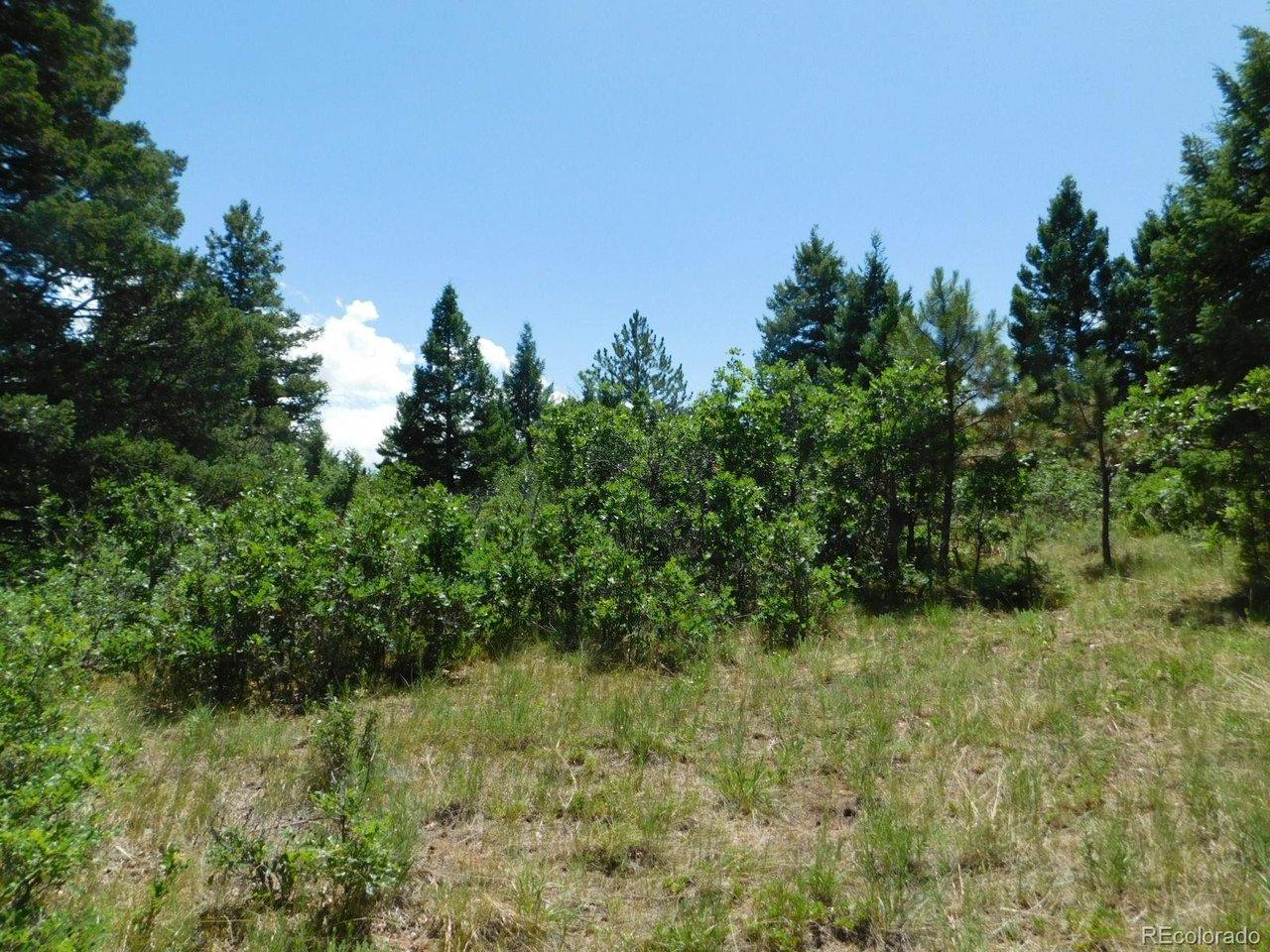 Image 4 Image 4