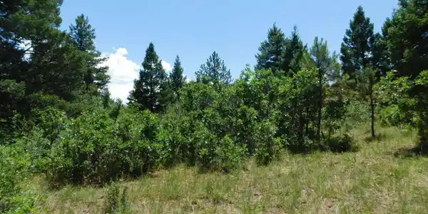 Image 4 Image 4