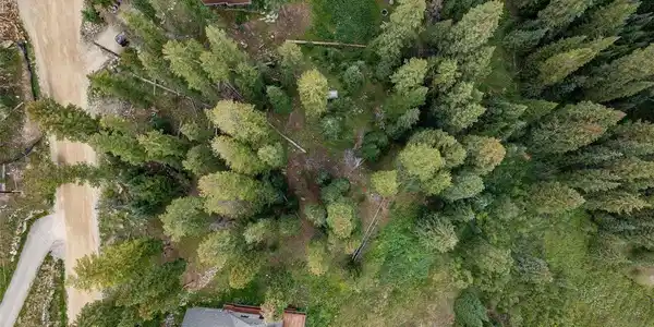 Image 4 Image 4