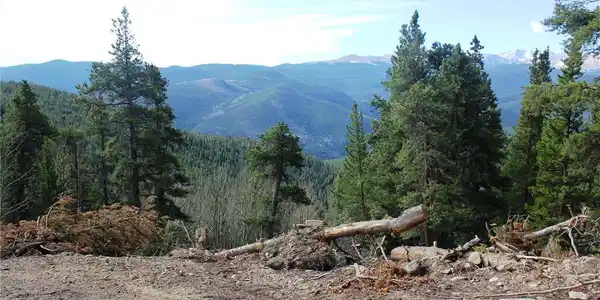 Image 4 Image 4