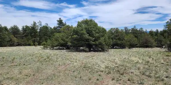 Image 4 Image 4