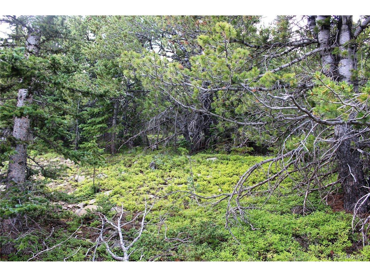Image 3 Image 3
