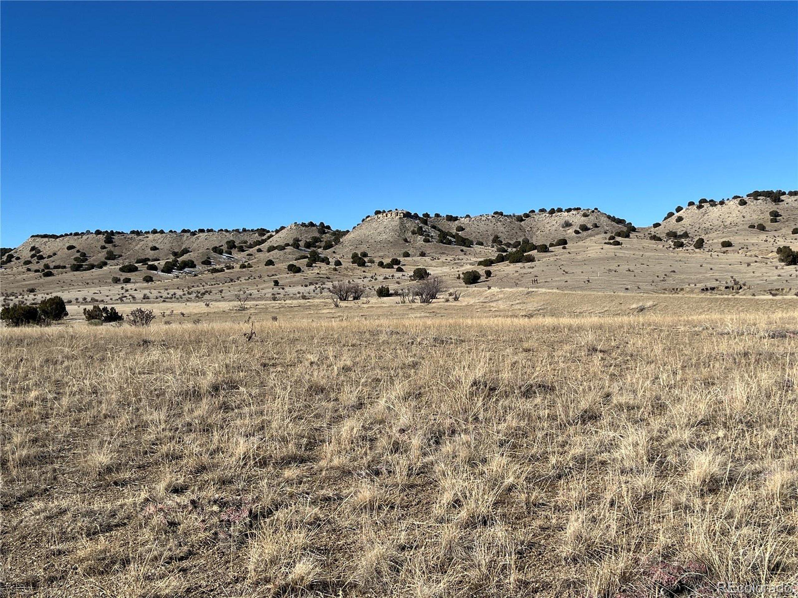 Image 4 Image 4