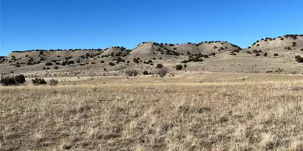 Image 4 Image 4