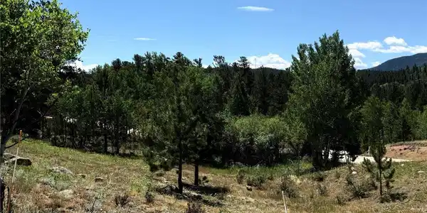 Image 4 Image 4