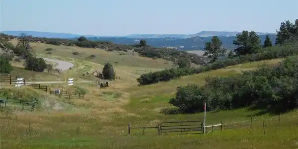 Image 3 Image 3