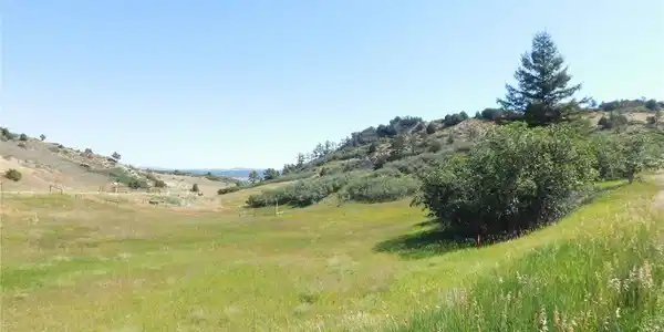 Image 4 Image 4