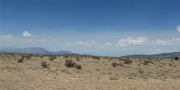 Image 4 Image 4