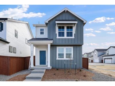 1177 Prospect Aly
