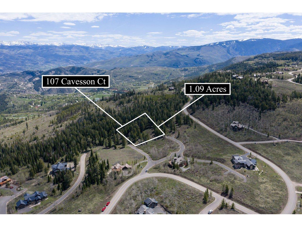 Image 1 Image 1