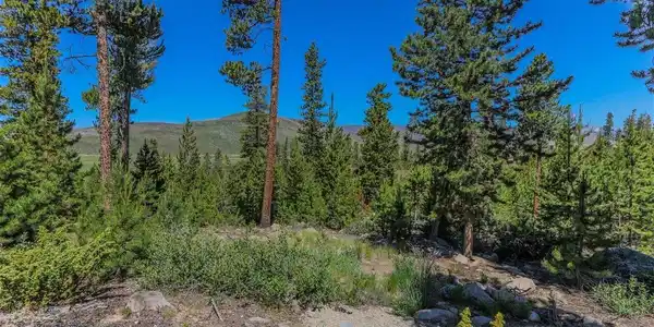 Image 3 Image 3