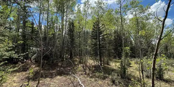 113 Ithaca Ln