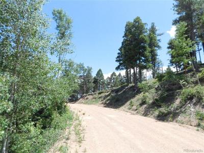 13670 Spruce Creek Cir