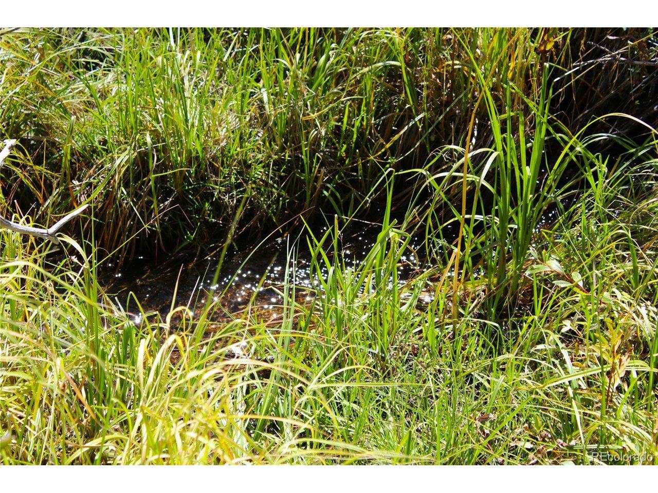 Image 4: Manchester Creek Image 4: Manchester Creek