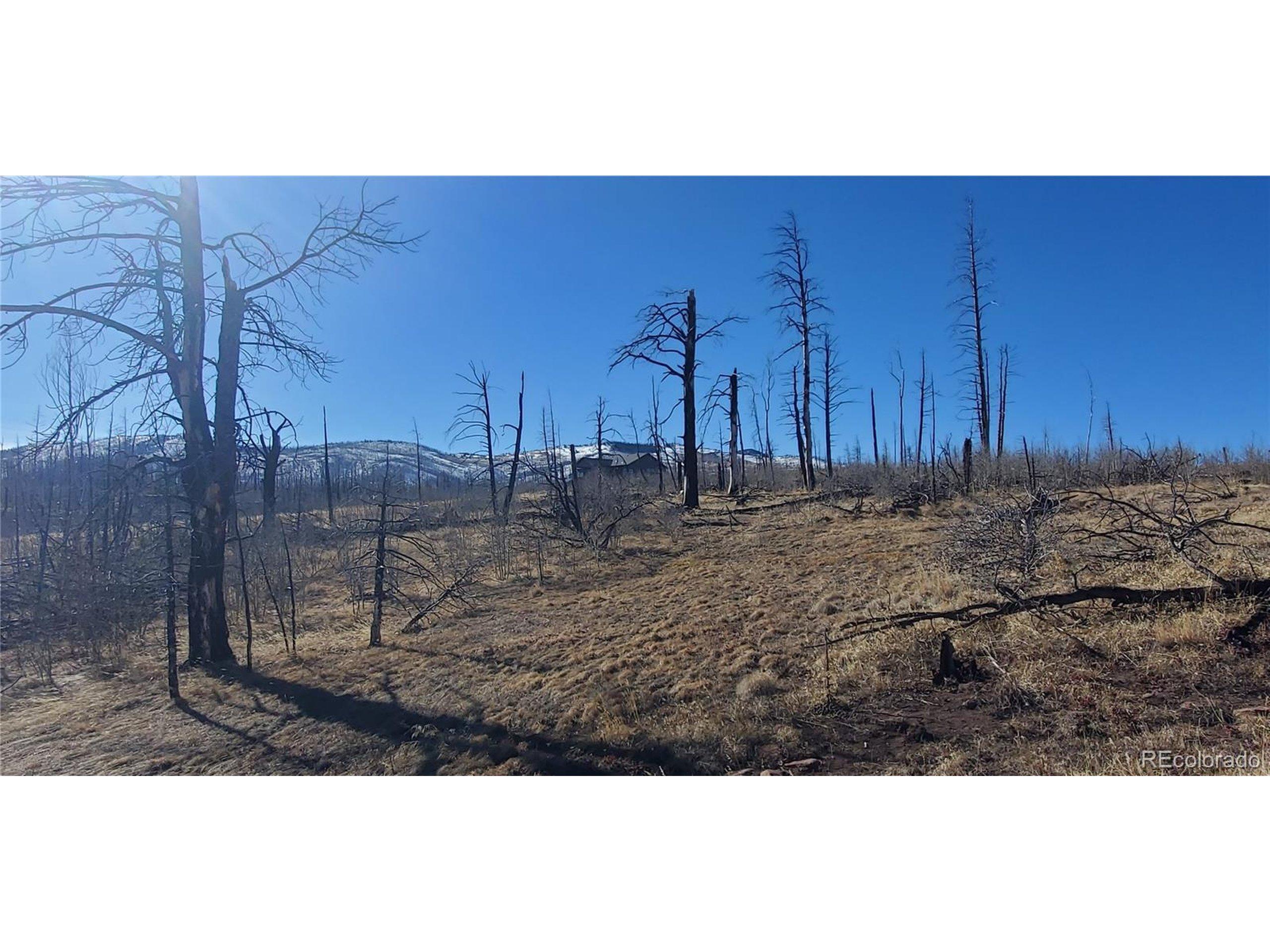 Image 4 Image 4