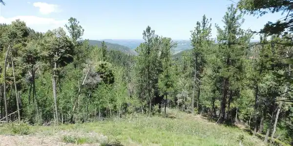 Image 4 Image 4