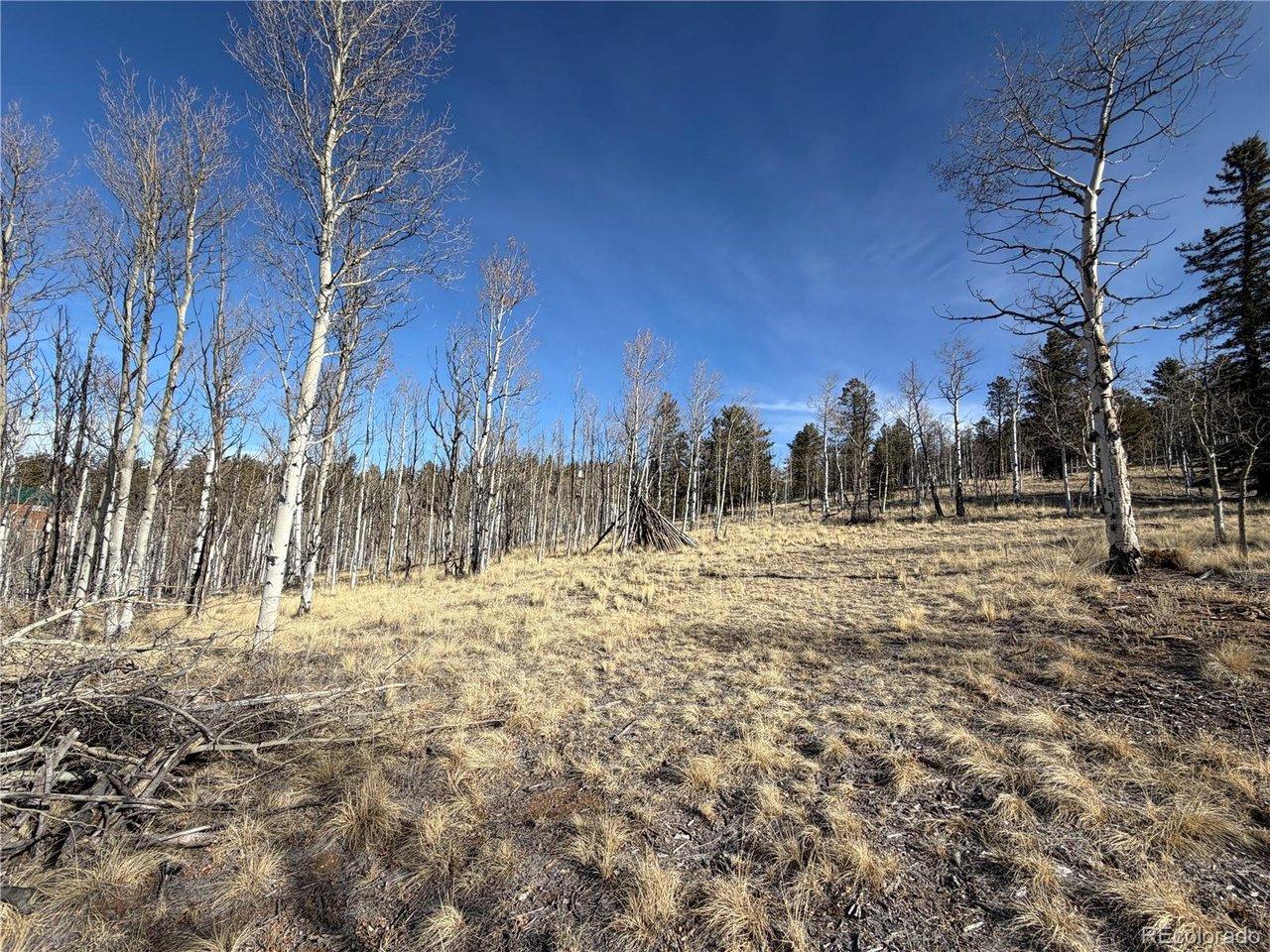 Image 4 Image 4