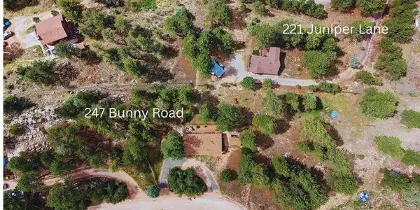 Image 2: long shot of Bunny and Juniper Image 2: long shot of Bunny and Juniper