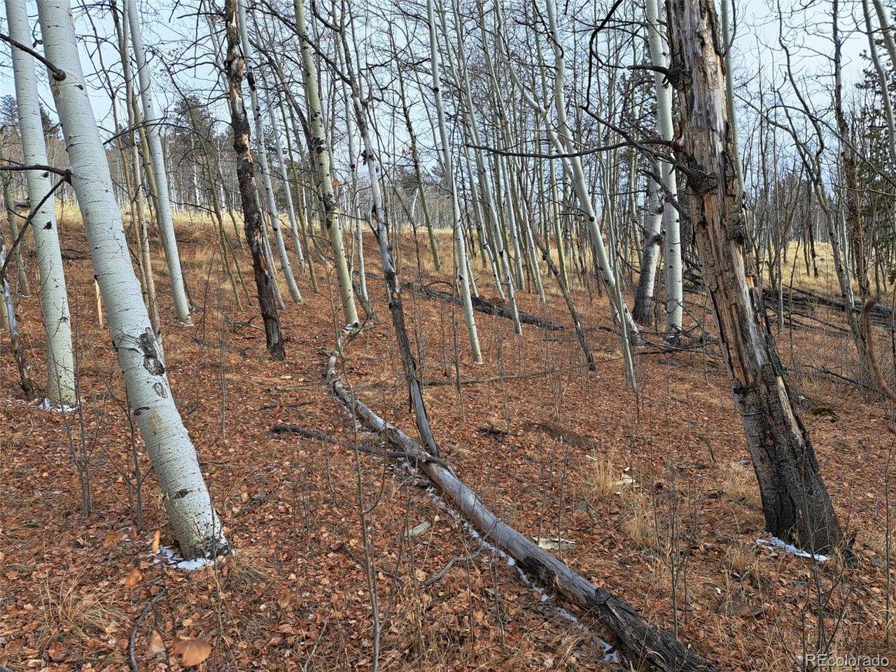Image 3 Image 3