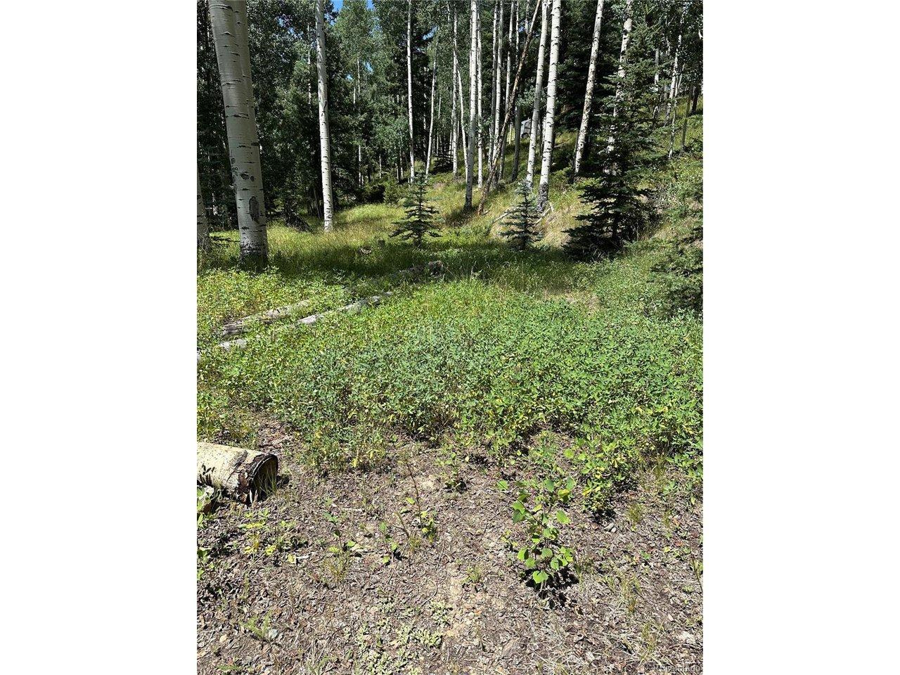 Image 4 Image 4