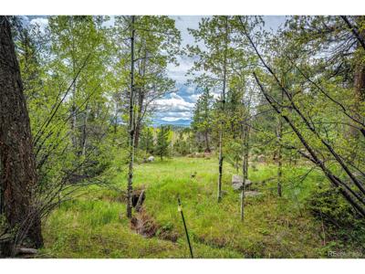 12346 Bear Haven