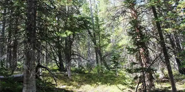 Image 2 Image 2