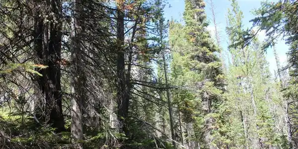 Image 3 Image 3