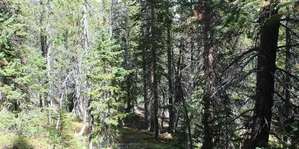 Image 4 Image 4
