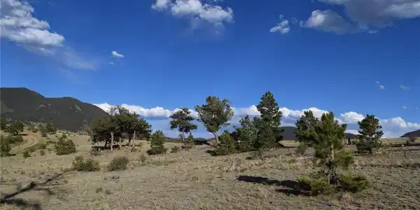 Image 3 Image 3