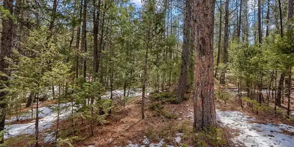 Image 3 Image 3