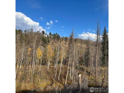 11 Monument Gulch Way