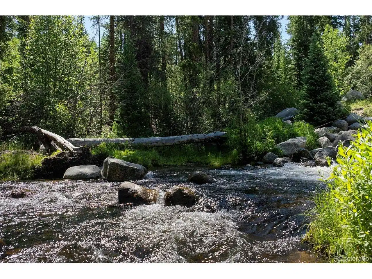 Image 1 Image 1