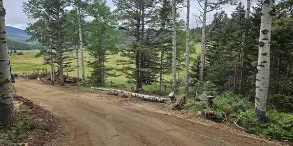 Image 4 Image 4