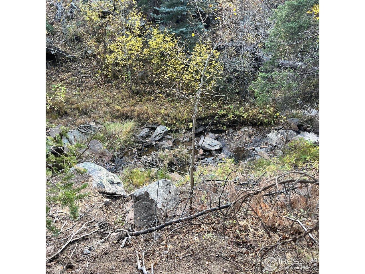 Image 4 Image 4
