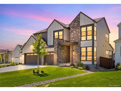 1702 Branching Canopy Dr