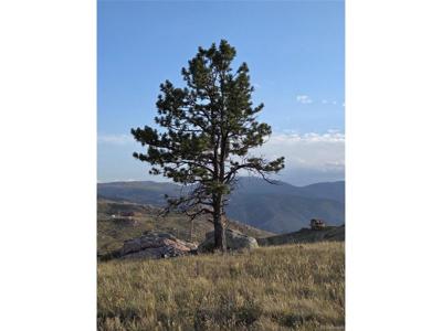 443 Meadow Mountain Dr