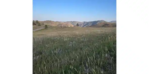 Image 4 Image 4