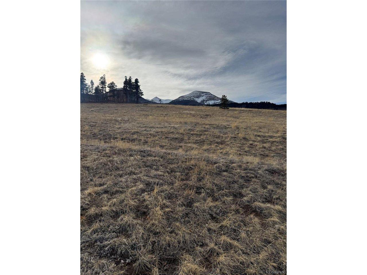 Image 4 Image 4