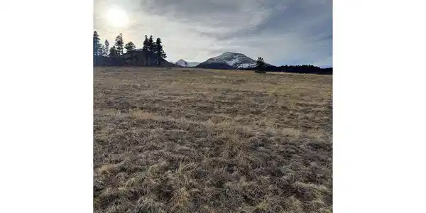 Image 4 Image 4