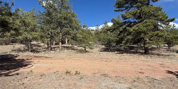 Image 3 Image 3