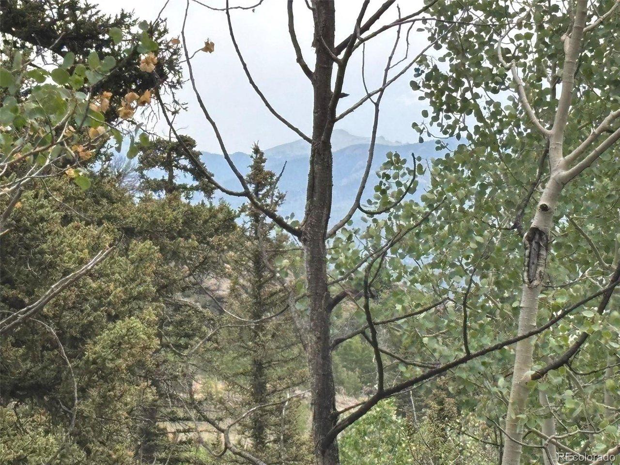 Image 4 Image 4