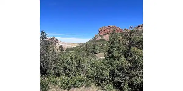 Image 4 Image 4