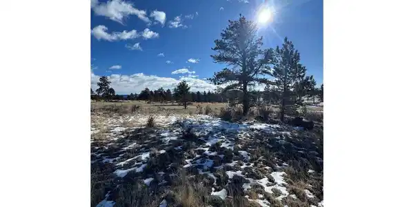 861 State Highway 24