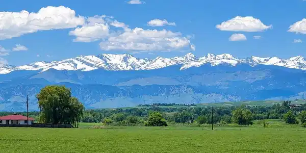 Image 3: day views from backyard
