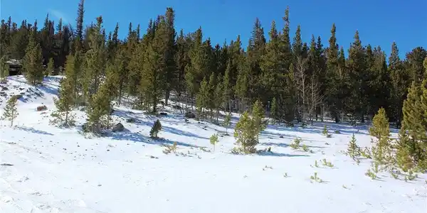 309 Aspen