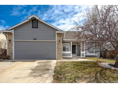 2925 Muleshoe Dr